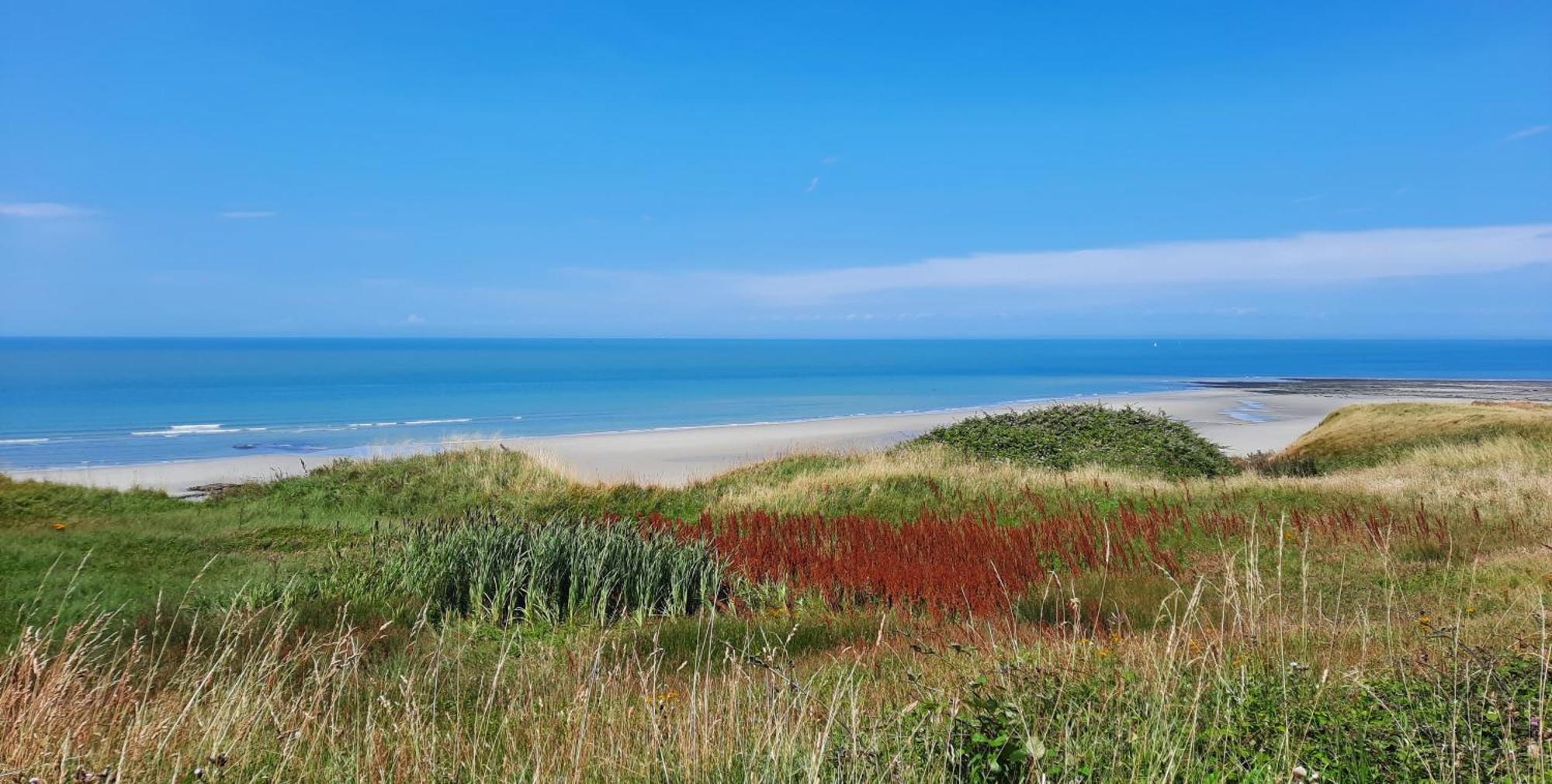 Le 246 - Duplex Face A La Mer Pour 4 Personnes, Wifi, Tv Full Sat, Parking Wimereux Εξωτερικό φωτογραφία